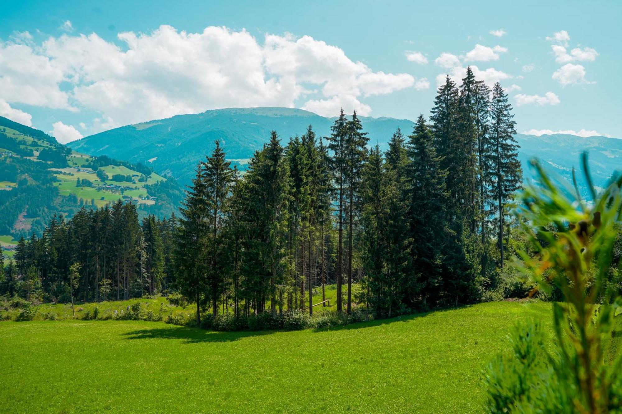 Chalet Wildruh Ried im Zillertal Luaran gambar