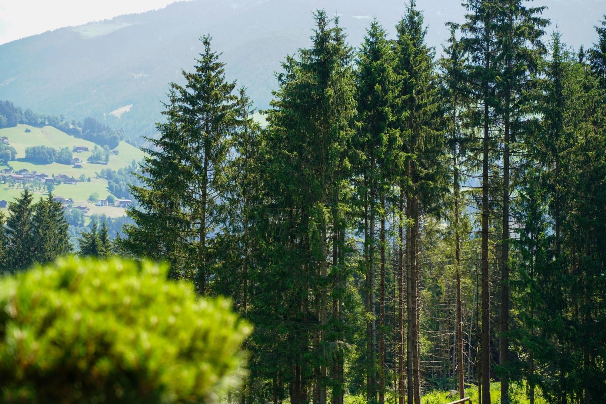 Chalet Wildruh Ried im Zillertal Luaran gambar